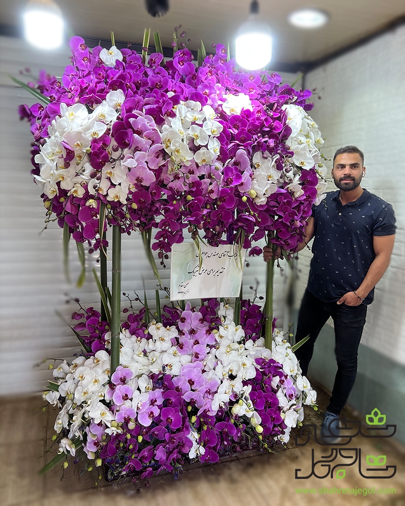 تاج گل دراگون