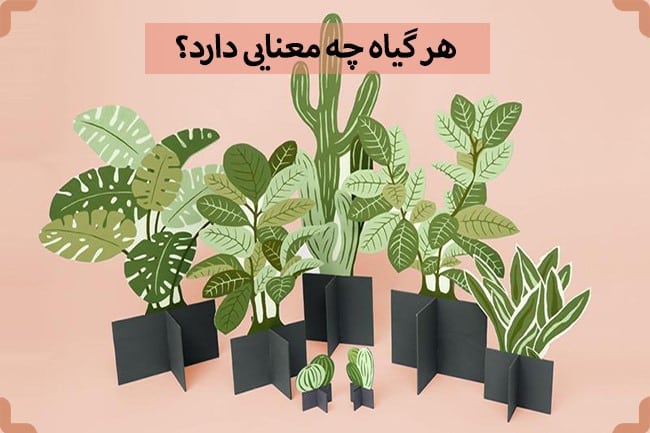 هر گیاه چه معنایی دارد؟