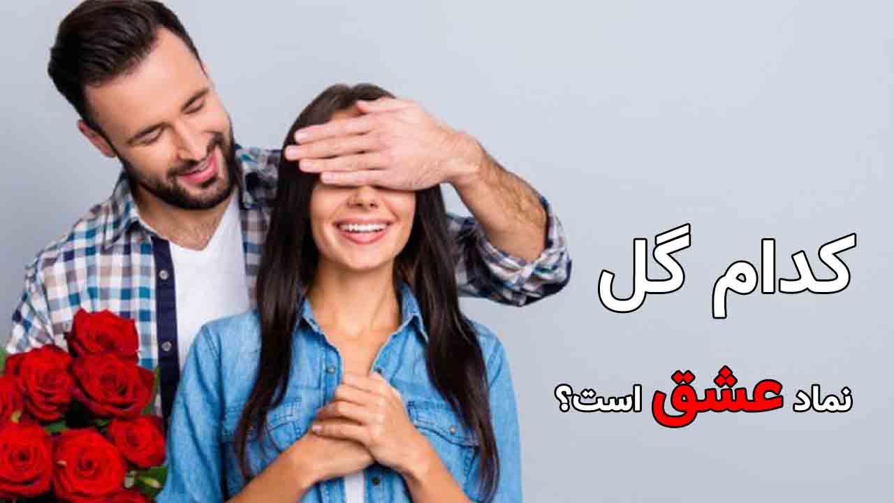 کدام گل نماد عشق است؟