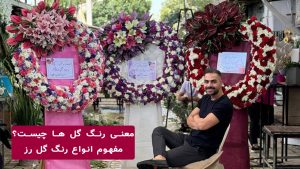معنی رنگ گل ها چیست؟ مفهوم انواع رنگ گل رز