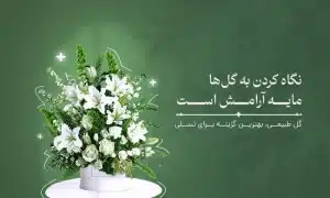تاج گل ترحیم شیک